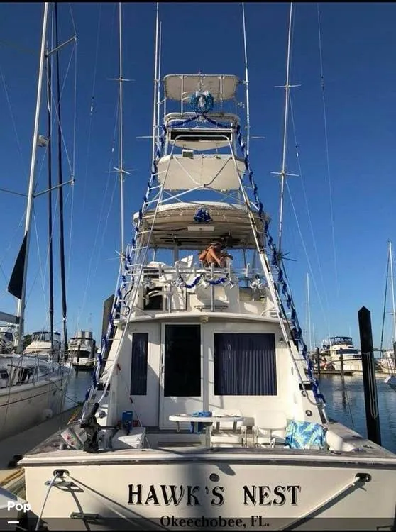 Slide: The Image of Bertram 42 Sportfish 1981 - 16161736