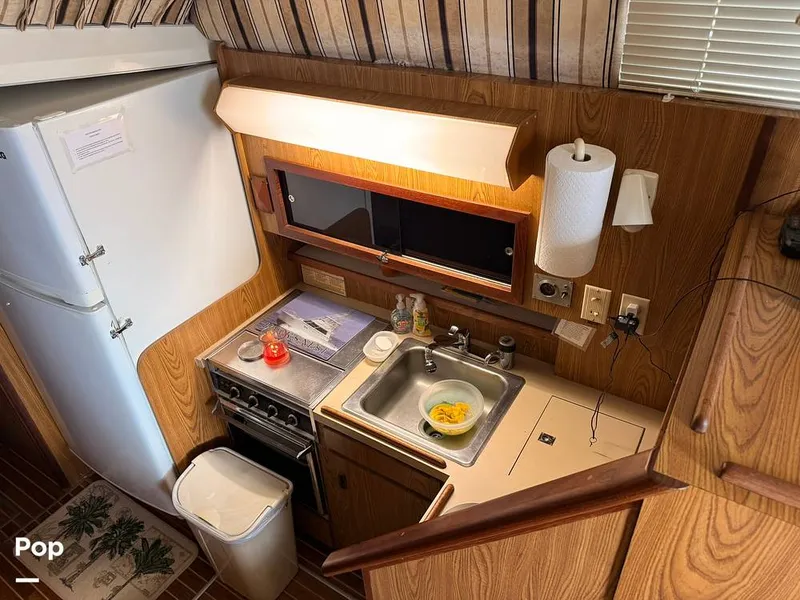 Slide: The Image of Bertram 42 Sportfish 1981 - 16488929