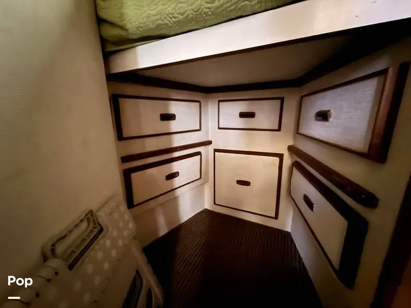 Slide: The Image of Bertram 42 Sportfish 1981 - 16245559