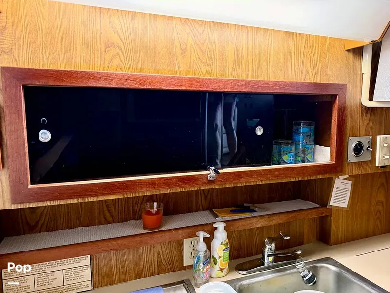 Slide: The Image of Bertram 42 Sportfish 1981 - 16488933