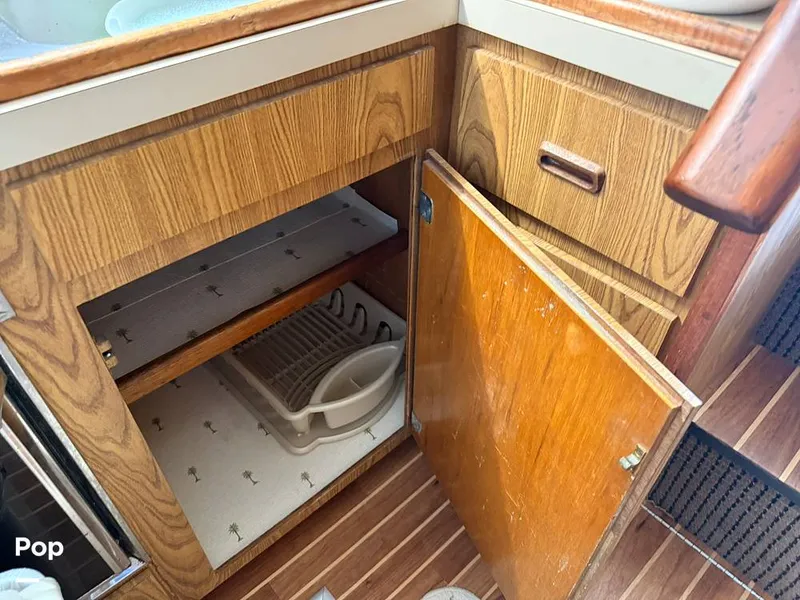 Slide: The Image of Bertram 42 Sportfish 1981 - 16488934