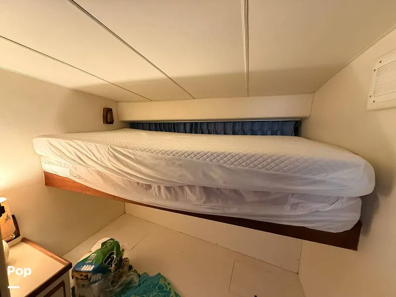 Slide: The Image of Bertram 42 Sportfish 1981 - 16488946