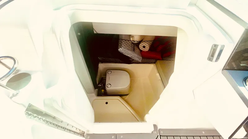 Slide: The Image of Sea Ray 250 SDX OUTBOARD 2021 - 26