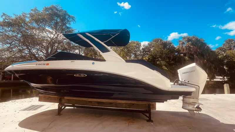Slide: The Image of Sea Ray 250 SDX OUTBOARD 2021 - 3