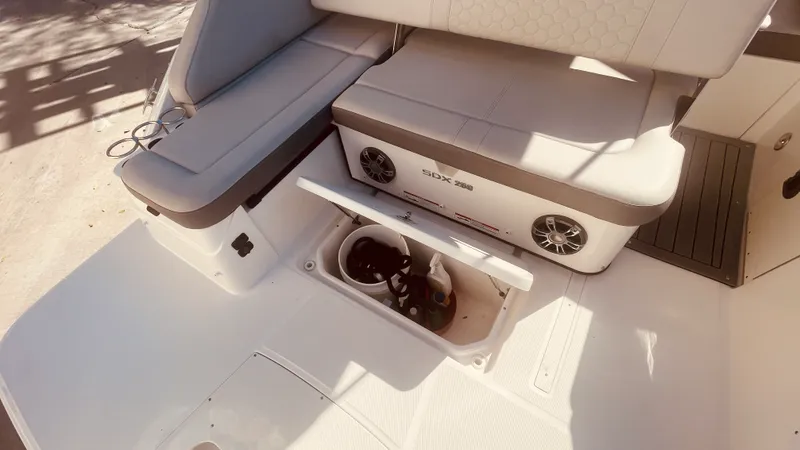 Slide: The Image of Sea Ray 250 SDX OUTBOARD 2021 - 33