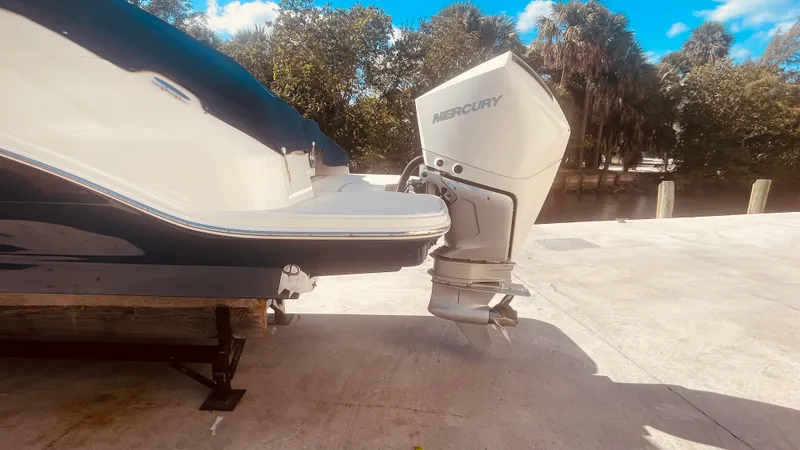 Slide: The Image of Sea Ray 250 SDX OUTBOARD 2021 - 4