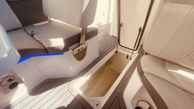 Slide: The Image of Sea Ray 250 SDX OUTBOARD 2021 - 43