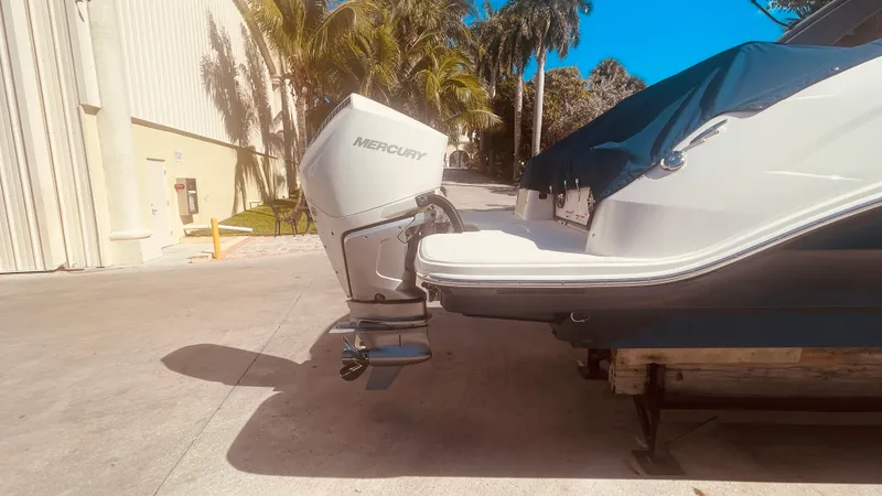 Slide: The Image of Sea Ray 250 SDX OUTBOARD 2021 - 5