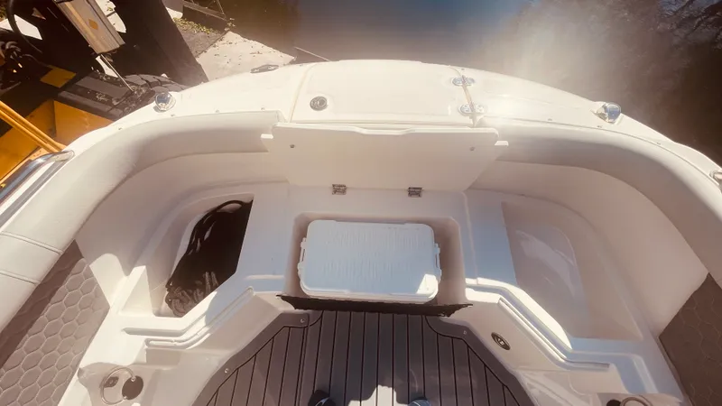 Slide: The Image of Sea Ray 250 SDX OUTBOARD 2021 - 54
