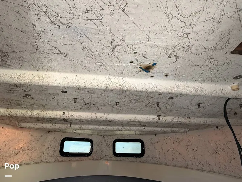 Slide: The Image of Privateer Renegade 2400 1983 - 16185552