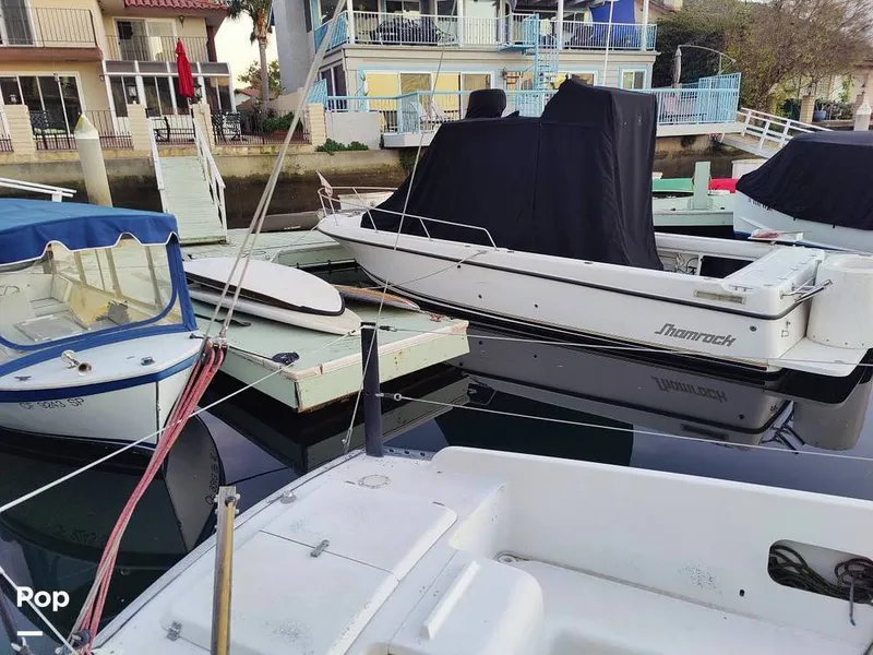 Slide: The Image of North End Fast 40 1983 - 16223659