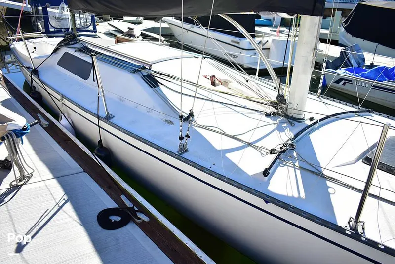 Slide: The Image of North End Fast 40 1983 - 16240866