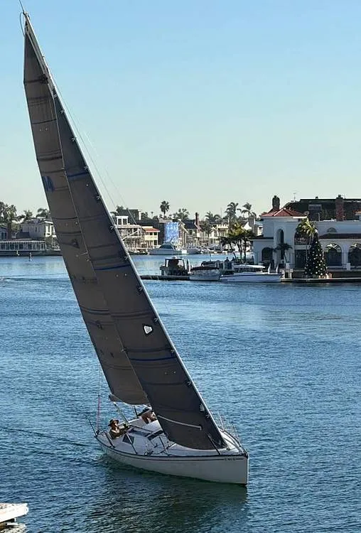 Slide: The Image of North End Fast 40 1983 - 16240885