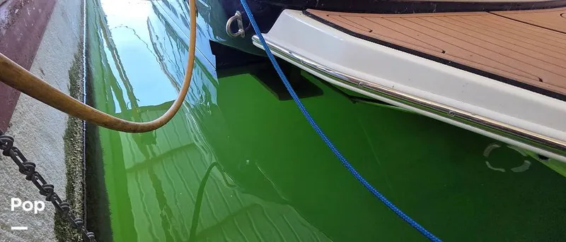 Slide: The Image of Sea Ray 260 Sundancer 2006 - 16181450