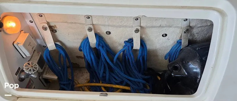 Slide: The Image of Sea Ray 260 Sundancer 2006 - 16181465