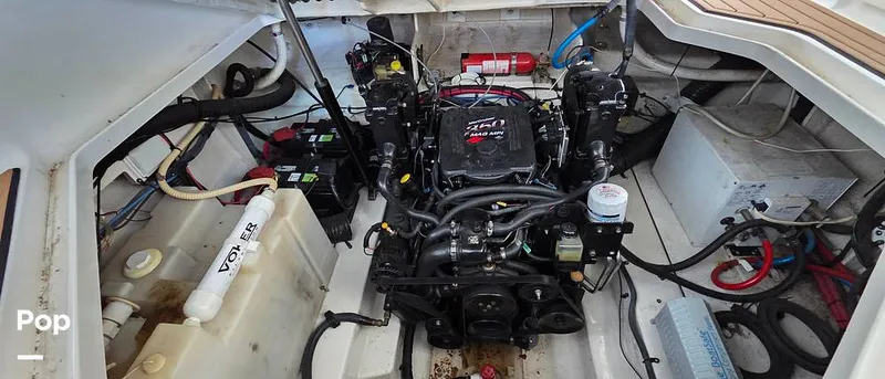 Slide: The Image of Sea Ray 260 Sundancer 2006 - 16181333