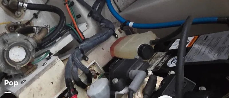 Slide: The Image of Sea Ray 260 Sundancer 2006 - 16181338