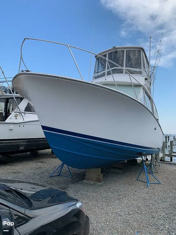 The Image of Bertram 33 FBC 1977 - 16171228