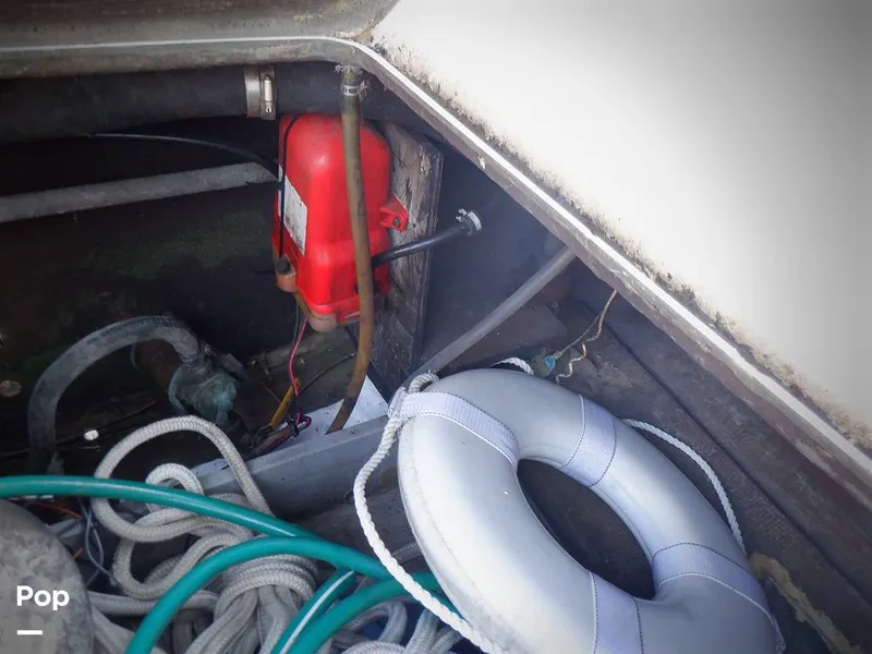 Slide: The Image of Bertram 33 FBC 1977 - 16256055