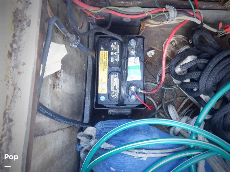 Slide: The Image of Bertram 33 FBC 1977 - 16256056