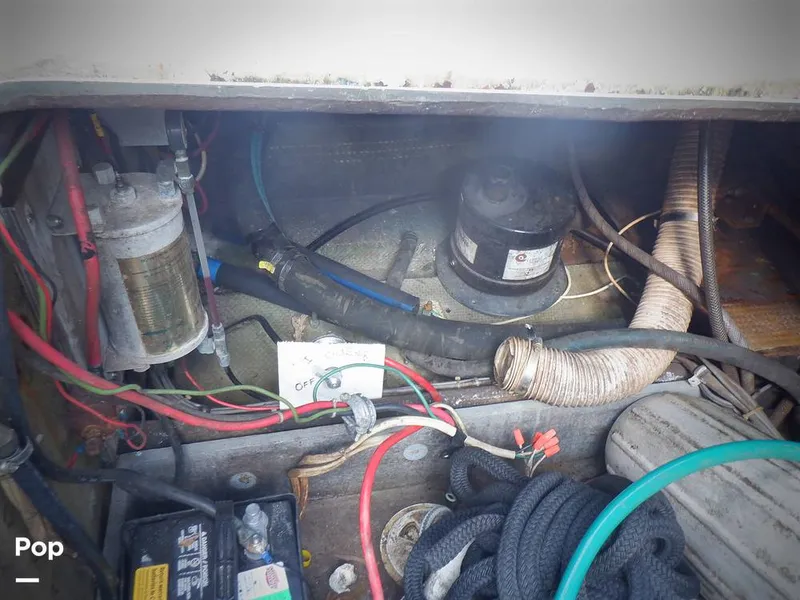 Slide: The Image of Bertram 33 FBC 1977 - 16256057