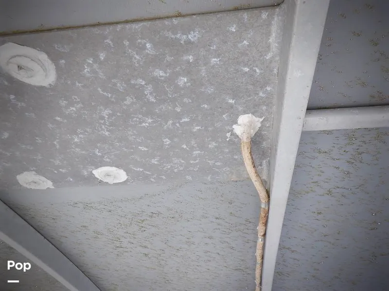 Slide: The Image of Bertram 33 FBC 1977 - 16256065