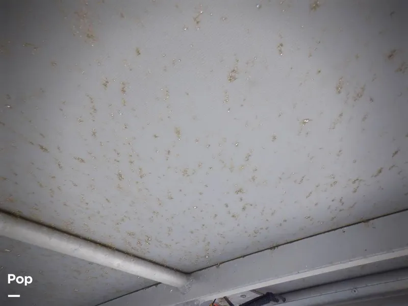 Slide: The Image of Bertram 33 FBC 1977 - 16256066