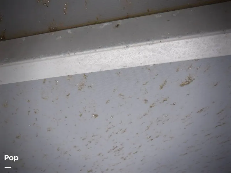 Slide: The Image of Bertram 33 FBC 1977 - 16256067