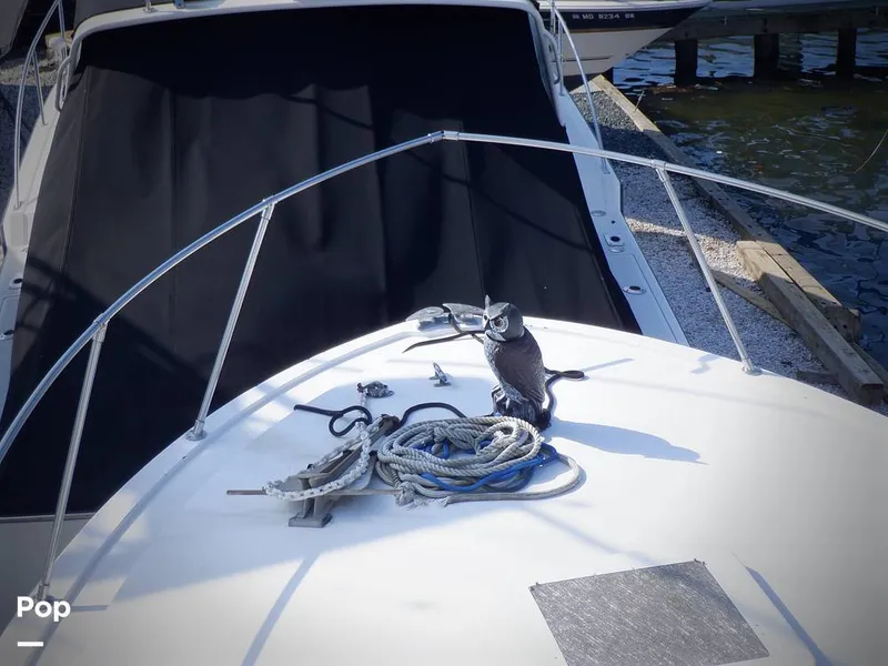 Slide: The Image of Bertram 33 FBC 1977 - 16256075