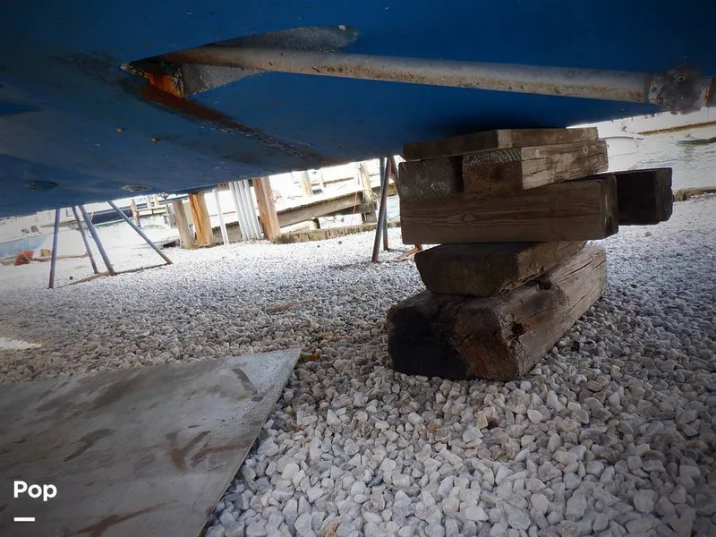 Slide: The Image of Bertram 33 FBC 1977 - 16256089