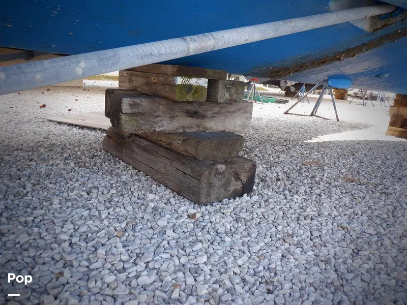 Slide: The Image of Bertram 33 FBC 1977 - 16255973