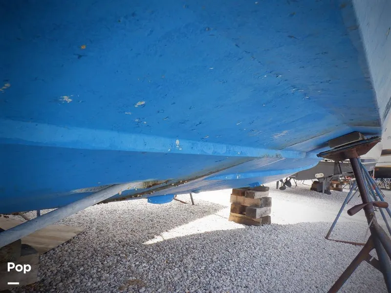 Slide: The Image of Bertram 33 FBC 1977 - 16255974