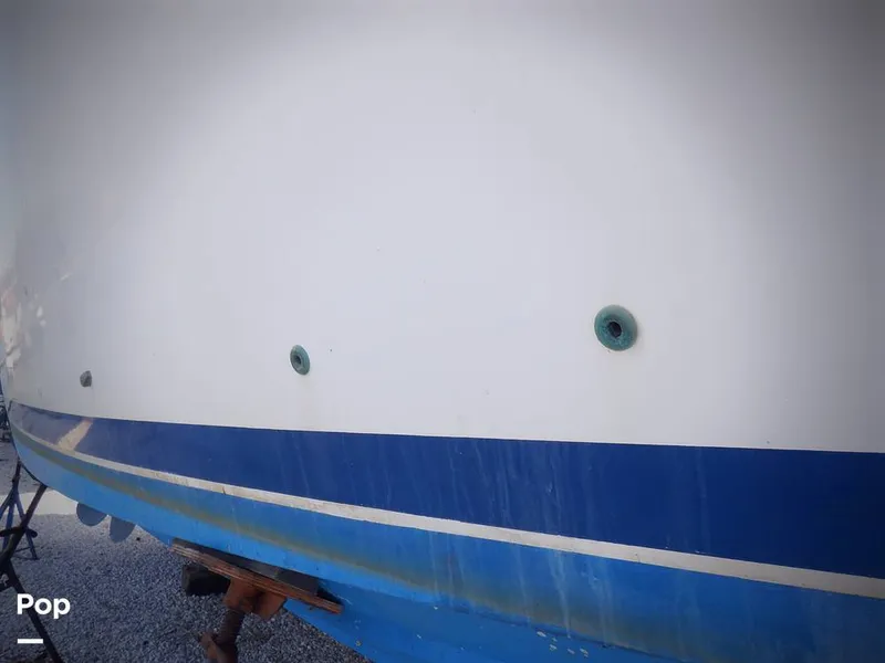 Slide: The Image of Bertram 33 FBC 1977 - 16255978