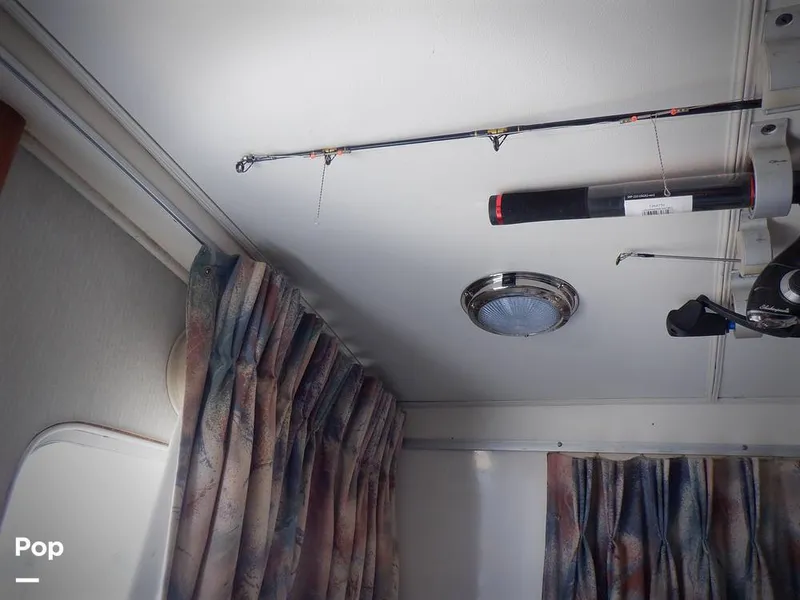 Slide: The Image of Bertram 33 FBC 1977 - 16256000