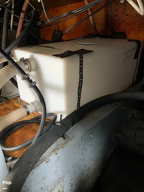 Slide: The Image of Bertram 33 FBC 1977 - 16171317