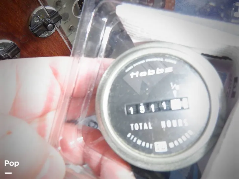 Slide: The Image of Bertram 33 FBC 1977 - 16256010