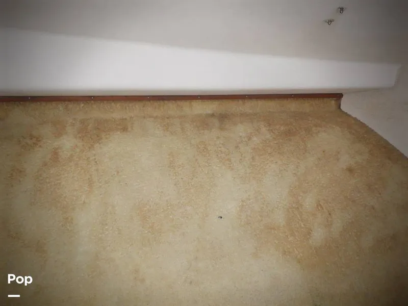 Slide: The Image of Bertram 33 FBC 1977 - 16256016