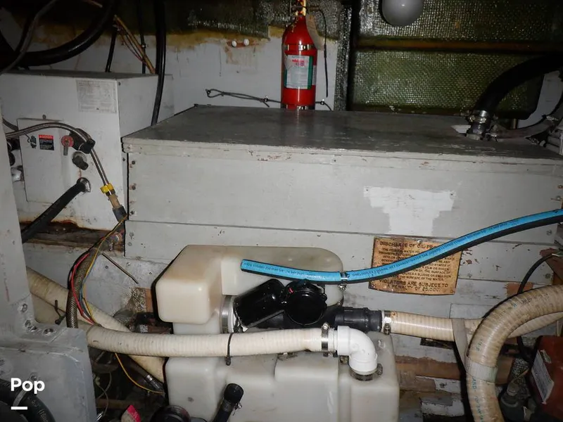 Slide: The Image of Bertram 33 FBC 1977 - 16256029