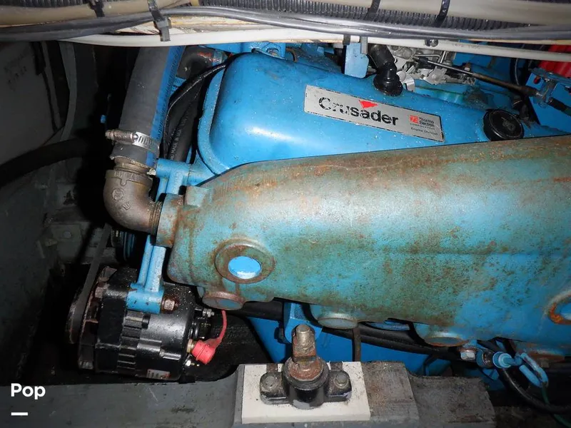 Slide: The Image of Bertram 33 FBC 1977 - 16256030