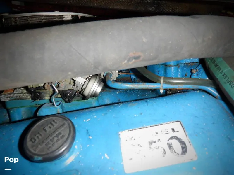 Slide: The Image of Bertram 33 FBC 1977 - 16256033