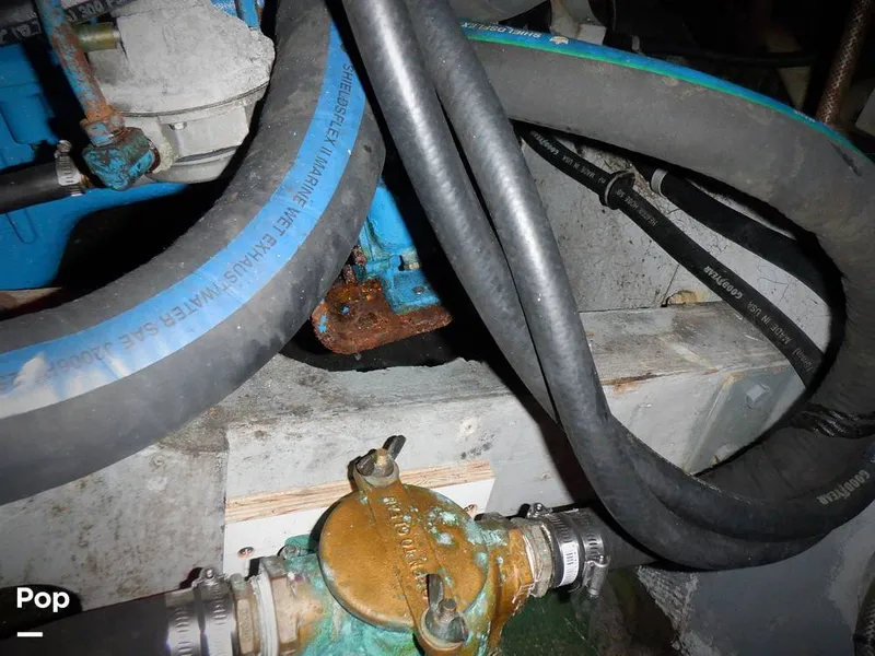 Slide: The Image of Bertram 33 FBC 1977 - 16256038