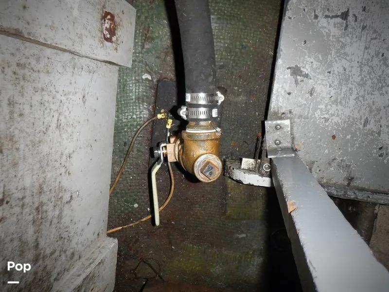 Slide: The Image of Bertram 33 FBC 1977 - 16256039