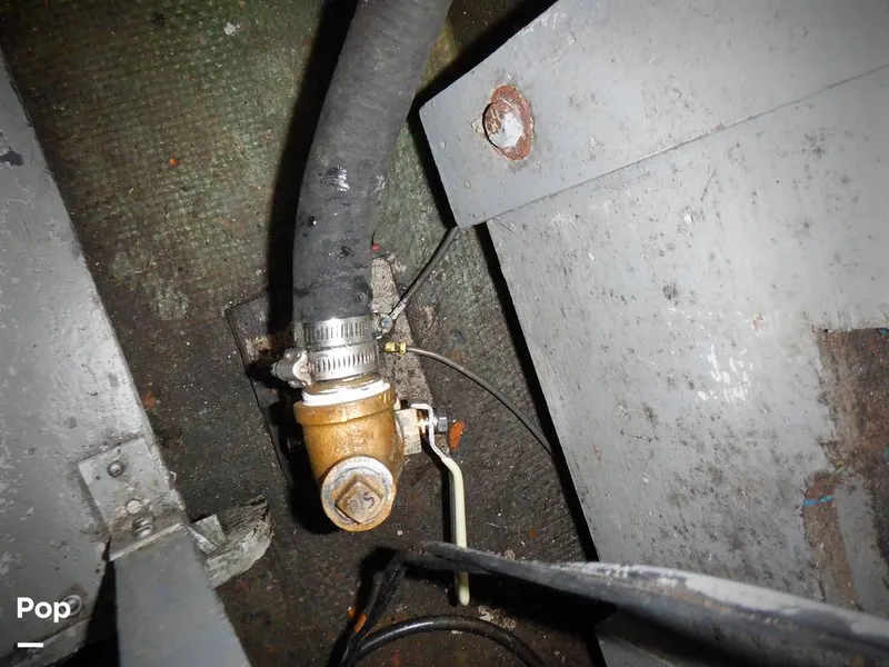 Slide: The Image of Bertram 33 FBC 1977 - 16256040