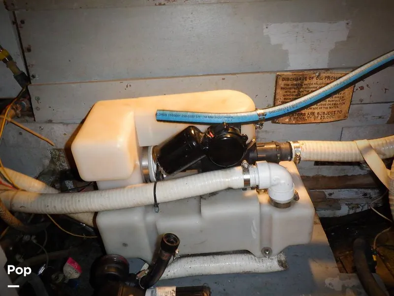 Slide: The Image of Bertram 33 FBC 1977 - 16256041