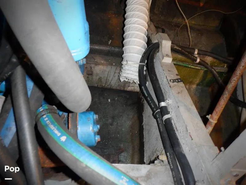 Slide: The Image of Bertram 33 FBC 1977 - 16256044