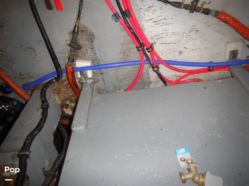 Slide: The Image of Bertram 33 FBC 1977 - 16256045