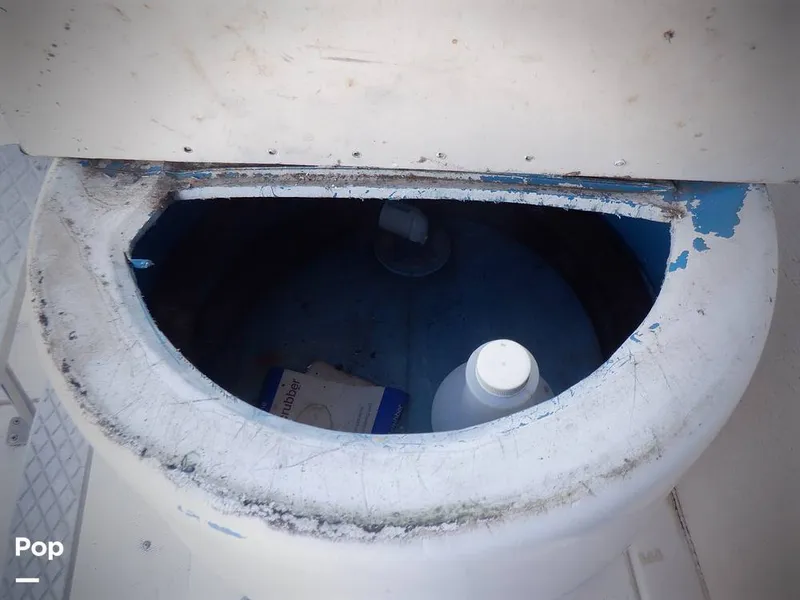 Slide: The Image of Bertram 33 FBC 1977 - 16256048