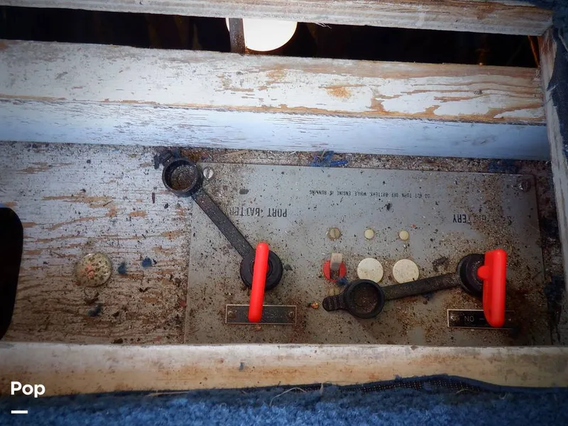 Slide: The Image of Bertram 33 FBC 1977 - 16256050