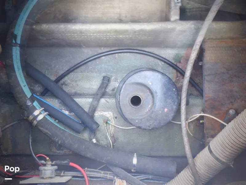 Slide: The Image of Bertram 33 FBC 1977 - 16256051