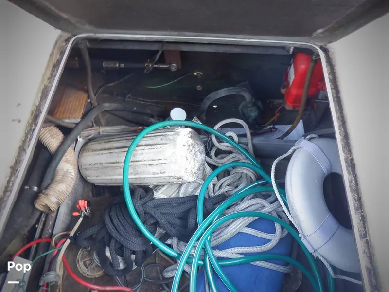 Slide: The Image of Bertram 33 FBC 1977 - 16256053